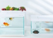 Умный аквариум Smart Fish Tank – специалисты экосистемы MIOT не перестают удивлять вас! 